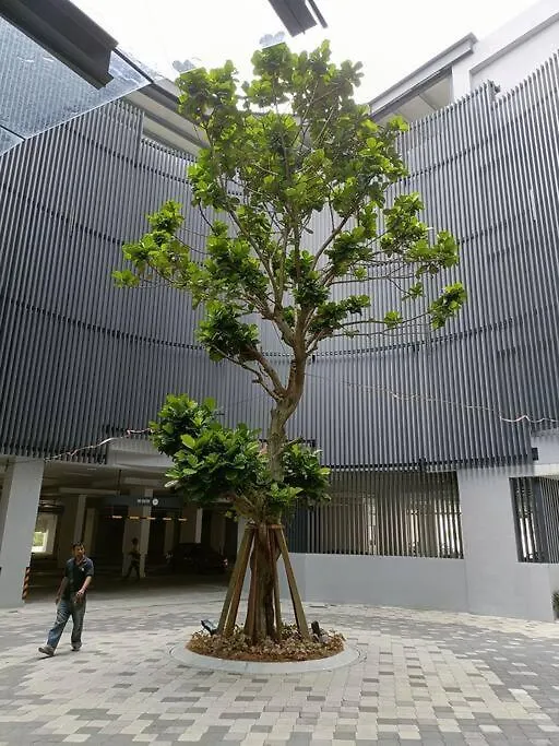 Sky Trees Netflix & Facilities With Balcony Διαμέρισμα Τζόχορ Μπάχρου